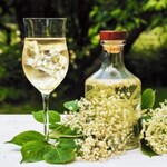 餃子酒飯 大阪王 - 