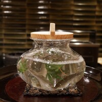 櫻木 - 