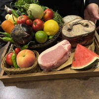 オッジ ダルマット 西麻布店 - 