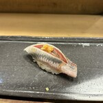 鮨 とぐら - この時期の鰯って旨いなぁ。
