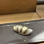 鮨 とぐら - 新子！素晴らしいお仕事！