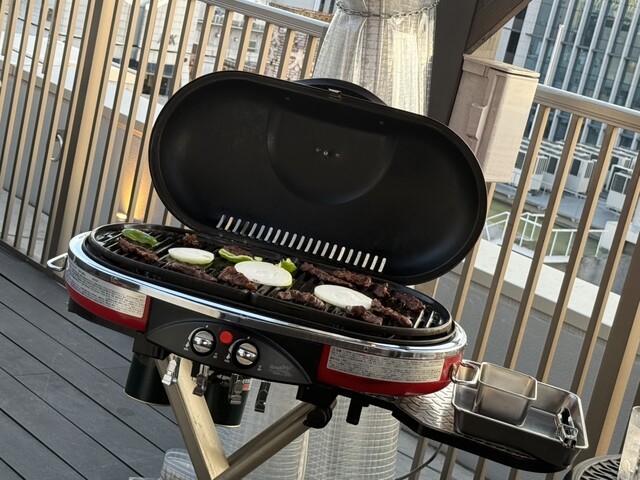 BISTRO TERRACE GORILLA photo 2