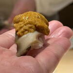 鮨 一幸 - 鮑雲丹