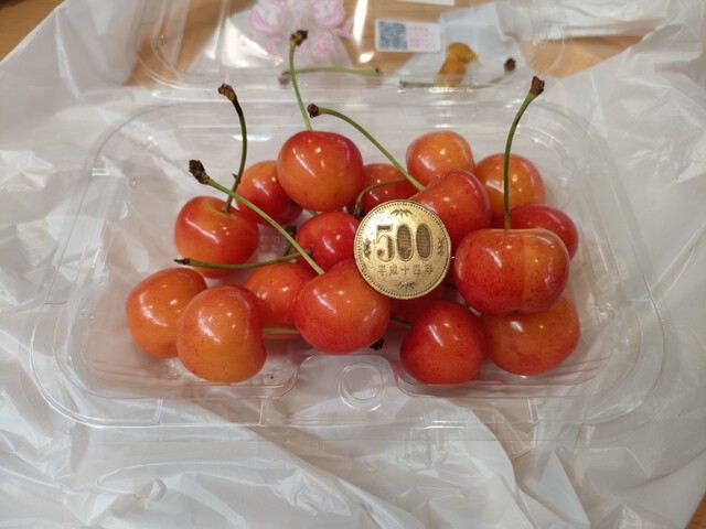 兄弟屋 - 象潟（その他）の写真