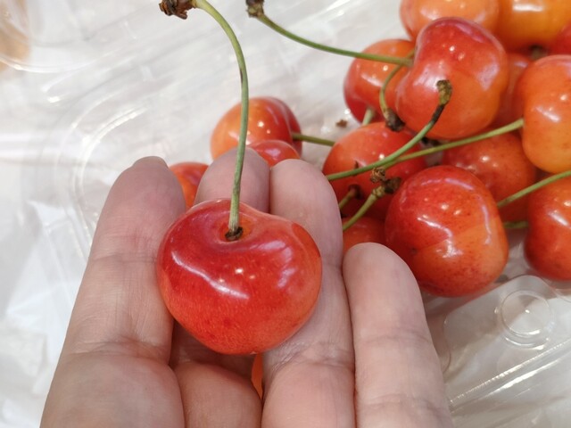 兄弟屋 &ndash; 象潟の観光拠点で味わう秋田の味 | にかほ市