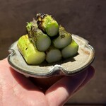 炭焼 おかげさん - 北海道押谷ファーム産アスパラ