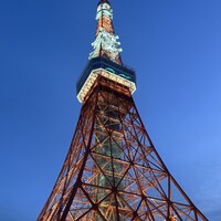 ワカヌイ グリル ダイニング バー 東京 - 