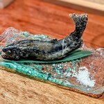 三茶 ユキツバキ - 