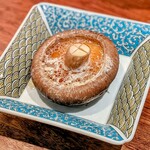 三茶 ユキツバキ - 