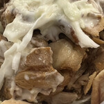 GO KEBAB - キャベツて傘増しなしでほとんどチキン笑笑