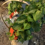 宮川本廛 赤坂宮川 - 