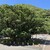 佐多岬公園観光案内所 - その他写真: