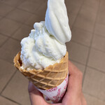 イズーラ修善寺 そば処 - ジェラートわさび