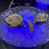 MAIMON GINZA - 