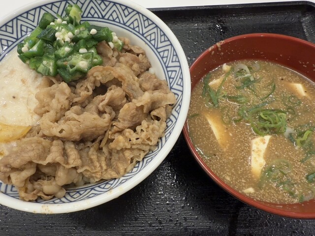 Yoshinoya Nijugosen Takedakubocho Ten