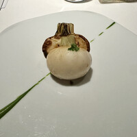 レフェルヴェソンス - 