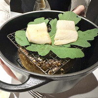 レフェルヴェソンス - 