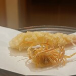 311341061 - 海老