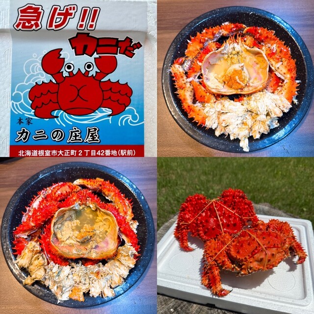 季節の頂き物に花咲蟹』by bellwood 1965 : かにの庄屋 - 根室