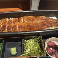 うなぎ四代目 菊川 恵比寿ガーデンプレイス店 - 