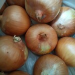 手打ちうどん わだや - 