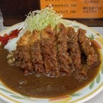キッチン南海 - 2014, Sep　カツカレー普通盛り650円　やっぱし昔の四角い深皿で出してた時のほうが見た目が好き。