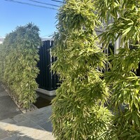 天然うなぎ しま村 - 