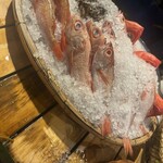 魚貝三昧 げん屋 - 