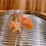 てんぷら 下村 - 