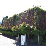 レストラン ツモロ - 