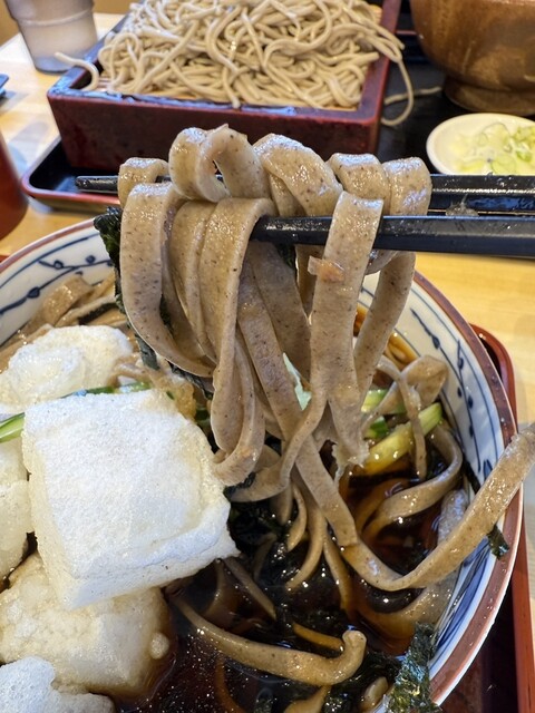 Yabusoba Shishibone Teuchi Soba Dokoro