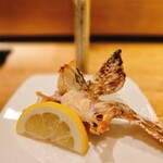 鮨と豆腐料理　あい田 - 