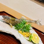 美酒美食 平田 - 