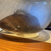 日本料理 別府 廣門 - 