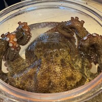 日本料理 別府 廣門 - 