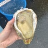魚売場　森田水産 那珂湊魚市場前