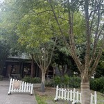 カフェボスケ - 