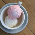 選べるアイス2種