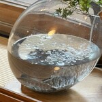 祇園 丸山 - 岩魚が泳いでいます