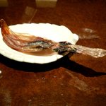 銀の雪 - ほたるいか