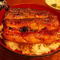 吉寅 - 