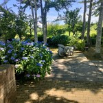 ぴょんぴょん舎 - 