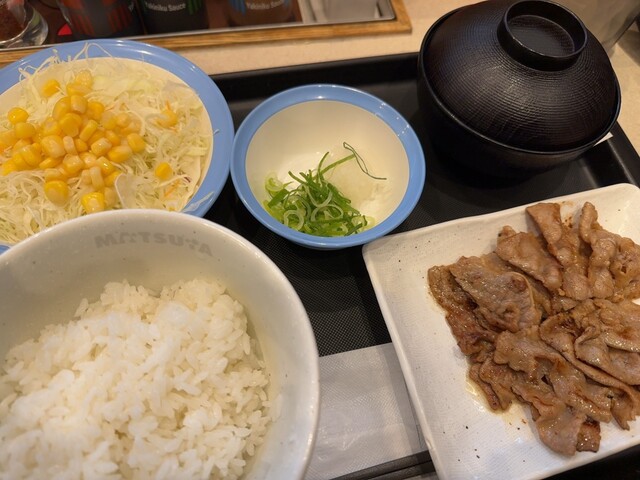 Matsuya Sapporo Ekimaedori Ten - Odori/Gyu-don (Beef bowl