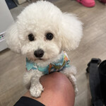 サッカバッカ - ヘイヘイちゃん