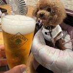 サッカバッカ - 乾杯♪