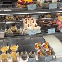 フィオレンティーナ -  フィオレンティーナ -