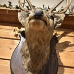 鹿肉料理専門店 バトックス - 