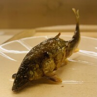 赤坂 菊乃井 - ⑤【焼き物：鉢肴】
                    琵琶湖産鮎塩焼き