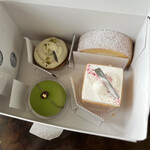 フォルテシモ アッシュ - 