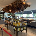 フォルテシモ アッシュ - 